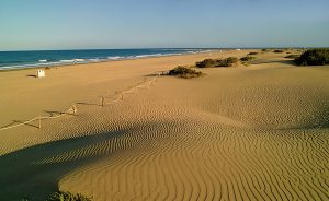 dunas de maspalomas